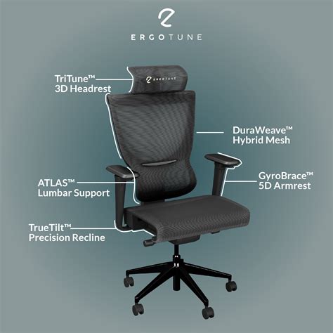 Get The 1 Rated Ergonomic Chair In Australia Ergotune Ergotune
