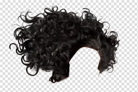 Hair Curly Transparent Background PNG Clipart HiClipart