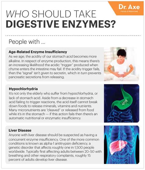 A ketogenic diet influences the kinds of bacteria that thrive in our gut and may reduce inflammation (27, . Absorb More Nutrients with Digestive Enzymes - Dr. Axe
