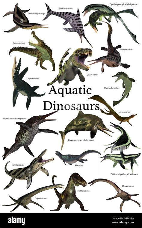 A Collection Of Various Marine Reptile Dinosaurs From Different