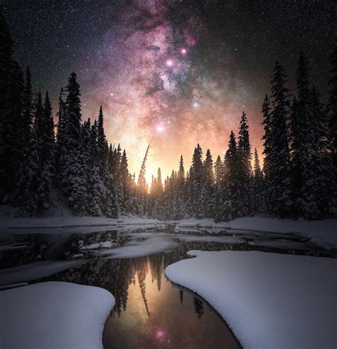 Starry Starry Skies By Daniel Greenwood Moss And Fog