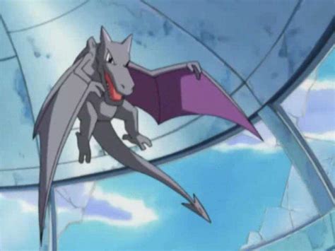 Aerodactyl Wiki Pokémon Amino