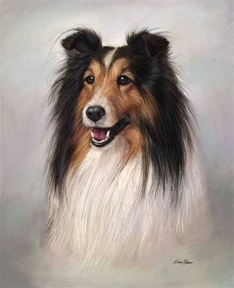 Pastel Pet Portrait Of Sheltie By Lisa Ober Dog Portraits Art Pet