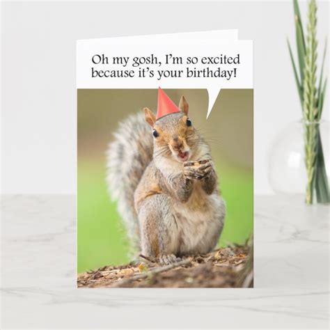 Happy Birthday Cute Squirrel In Party Hat Holiday Card Au
