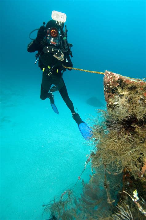 Diver Exploring The Cross Wreck Photograph By Matthew Oldfield Pixels