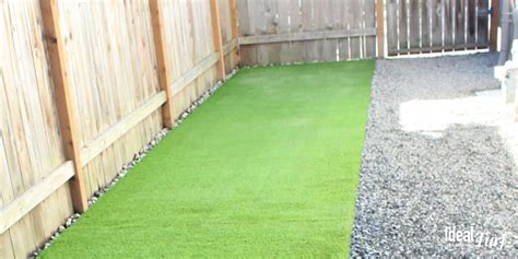 What Is Best Ground Cover For Dog Run