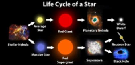 Neutron Star Life Cycle Star Life Cycle Life Cycles Cycle