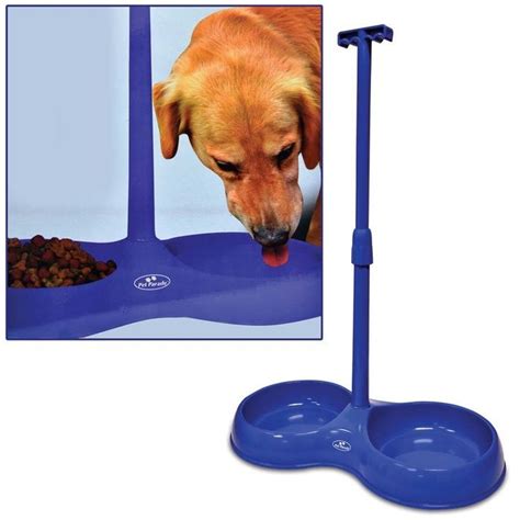 Pet hospice care, also known as palliative care, is an option if your pet is suffering from a terminal illness and a cure is not possible. No Bend Pet Bowl Repinned by SOS Inc. Resources http ...
