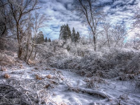 David Marvin Photography Lansing Michigan Winter Wonderland