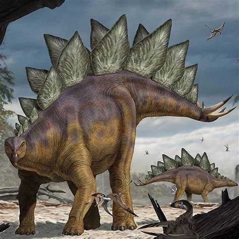 National geographic 3d dinosaur puzzle. National Geographic Kids Super 3D Stegosaurus Dinosaur ...