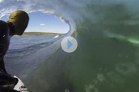 kelly slater surfs with shark surfer