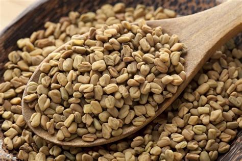 Brown Fresh Fenugreek Seed At Rs 62kg In Hapur Id 26109659062