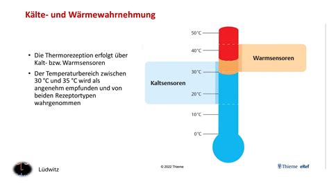 Anatomie Und Physiologie Der Haut Und Hautanhangsgebilde PPT