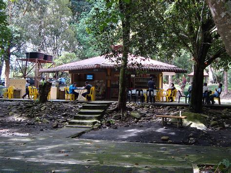 Kuala woh recreational forest in tapah is known as hutan lipur kuala woh in bahasa melayu and is a popular camp site and picnic areas for the locals during the weekends and public holidays. KUALA WOH TAPAH PREPAIDBOSS COLLECTIONS_15 | Hutan Lipur ...