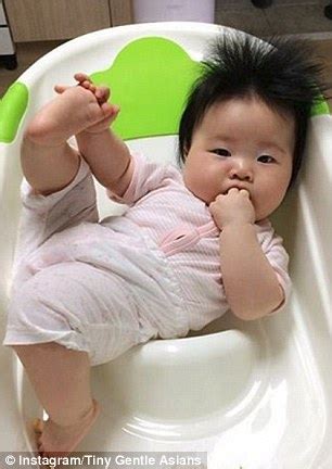 Tiny Gentle Asians Instagram Account Posts Nothing But Images Of Cute