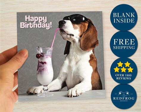 Funny Beagle Birthday Card Dog Happy Birthday Beagle Card With Etsy Uk