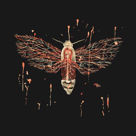 Anatomical Death S Head Hawk Moth Deaths Head Hawkmoth T Shirt Teepublic