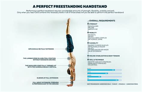 The Ultimate Guide To Troubleshooting Your Handstand Calisthenics Academy