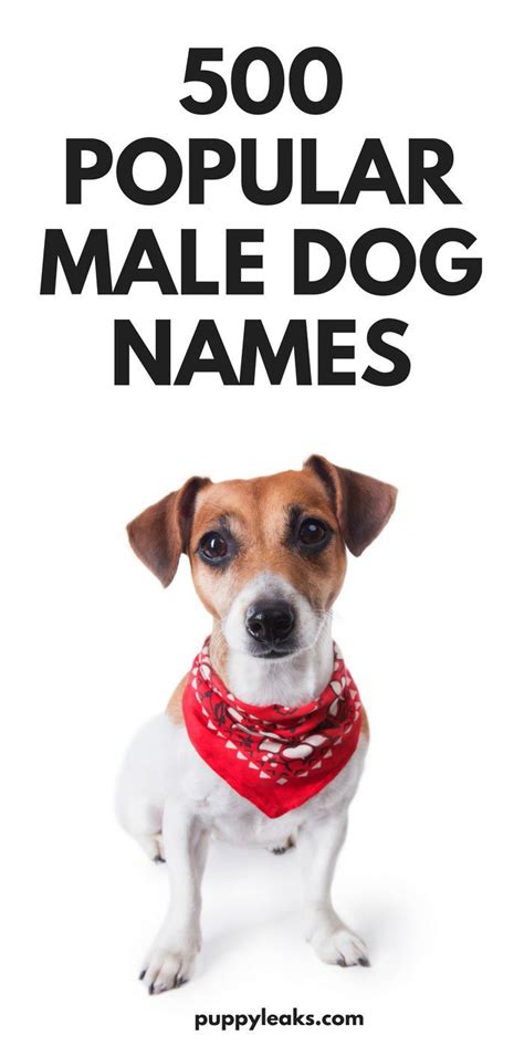 This same format is used for both plants and animals. 500 Popular Male Dog Names | Dog names male, Dog names ...