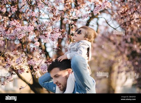 Adorable Little Daughter Sitting On Dads Neck And Smels Pink Flowers