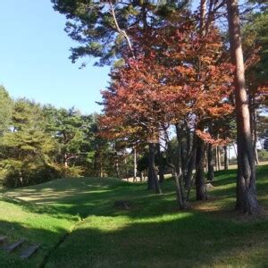 理矢理マンコにチンコ入れたい 胸とマンコ舐めたい 全員可愛い 全員と中だしセックスしたい 一緒に入りたい 服. 全米女子オープン2021の優勝賞金や総額は？コースの歴史や設計 ...