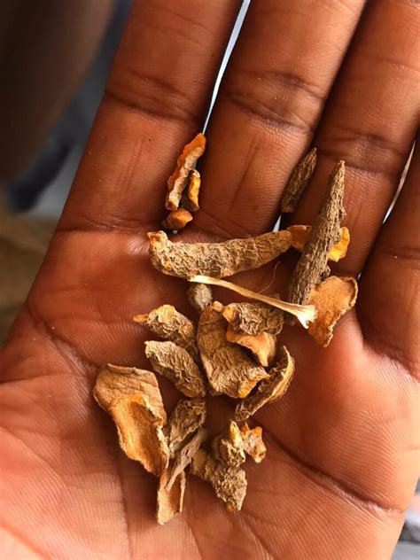 Dried Turmeric Exporters In Nigeria Turmeric Suppliers Turmeric Powder