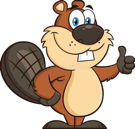 Beaver Cartoon Mascot Character Giving A Thumb Up Stock Vector