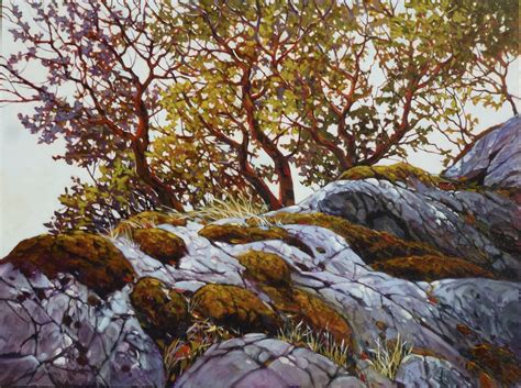 Janice Robertsons Art More Arbutus Trees