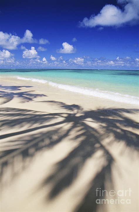 Tropical Beach Scene Photograph By Dana Edmunds Printscapes Pixels