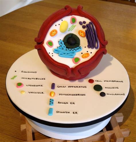 I 'helped' my little brother make a cake in the form of an animal cell. Biology Cell Cake This was done for a couple of High ...