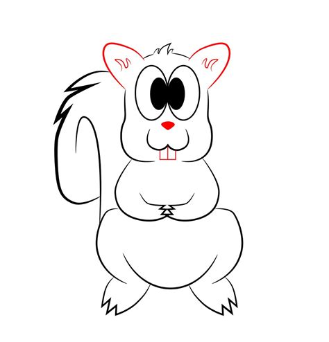 An extremely sly and intelligent animal, raccoons can be seen in urban areas, close to a forest, looking for food. How To Draw A Cartoon Squirrel - Draw Central