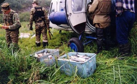 Vostochny Wild Salmon Refuge Sakhalin Island Russia Whitley Award