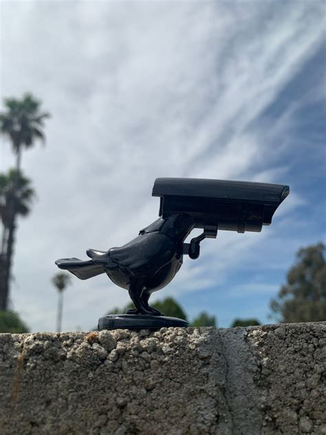 Pigeon Camera Toymanjohnny