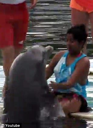 Caught on Video: Hilarious moment an amorous dolphin leaped out of the