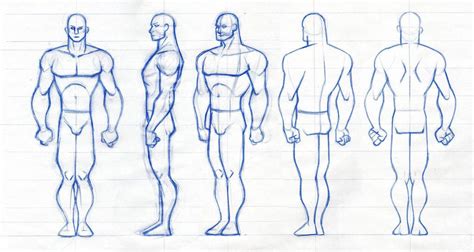 Male Figure Rotation By Robthesentinel Cartoon Character Design