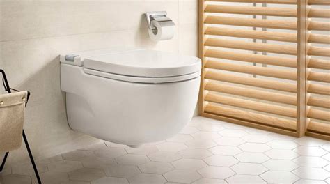 Different Styles Of Roca Wcs To Add A Unique Touch To The Bathroom