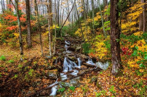 Small Rocky Forest Stream In Autumn Fall Season Forests Rocks