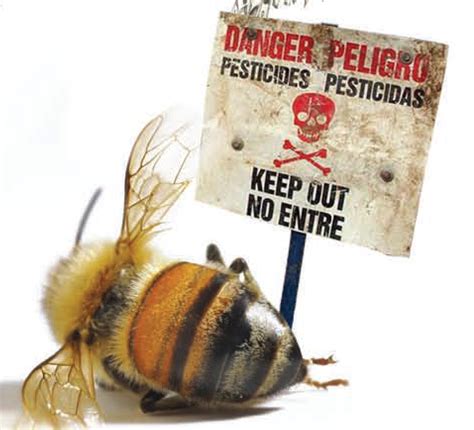 Pesticides Killing Bees Puts 75 Of Food Supply At Risk
