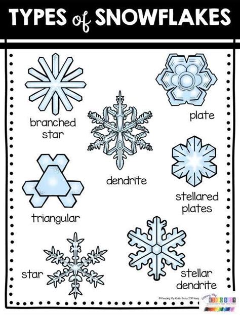 Explore The Fascinating World Of Snowflakes