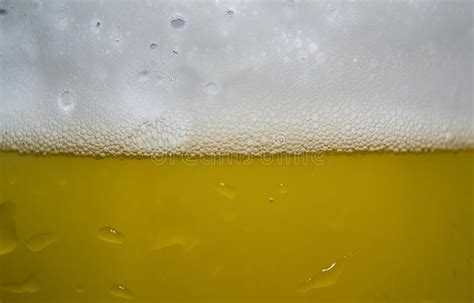 Macro Shot Of A Glass Of Beer Stock Image Image Of Brewery Beer