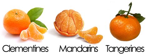 Clementines Mandarins And Tangerines — Which Is Healthiest Good