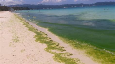 Sewage Mess Drives Boracay Into ‘cesspool Philippine Canadian Inquirer