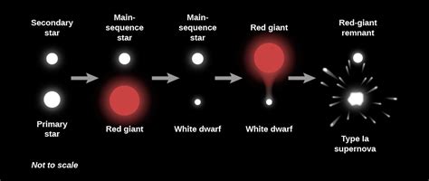 The Evolution Of Binary Star Systems Astronomy