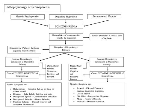 Pathogene Ltp Pathophysiology Of Schizophrenia Genetic Predisposition Dopamine Hypothesis