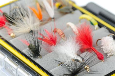 Types Of Fly Fishing Flies 5 Main Types Explained