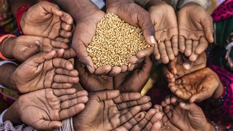 World Hunger Almost 700 Million People Are Going Hungry Worldwide According To A New Report