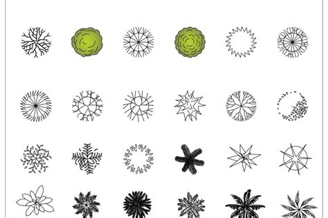 CAD Blocks - Trees Archives - First In Architecture