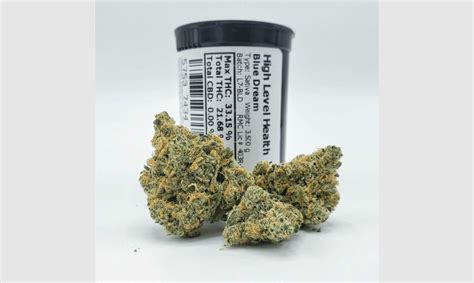 Blue Dream Strain The Ultimate Online Dispensary Guide