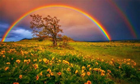 Wallpaper Rainbow Background Landscape Popular Century