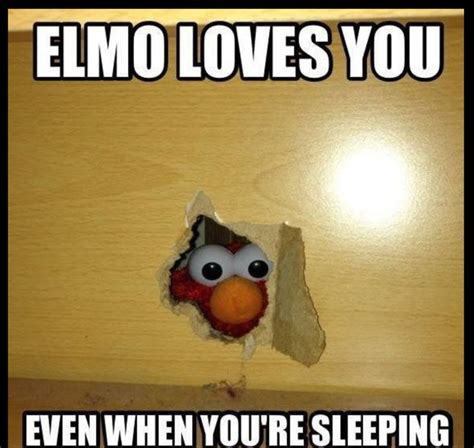 Pin By Hii On Memes Elmo Memes Sesame Street Memes Elmo